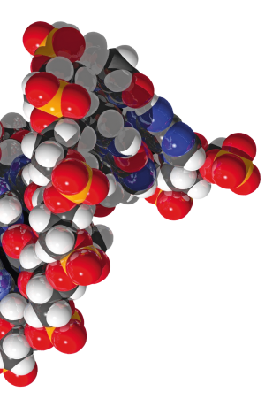 DNA-Rhenochem-transparent-cropped