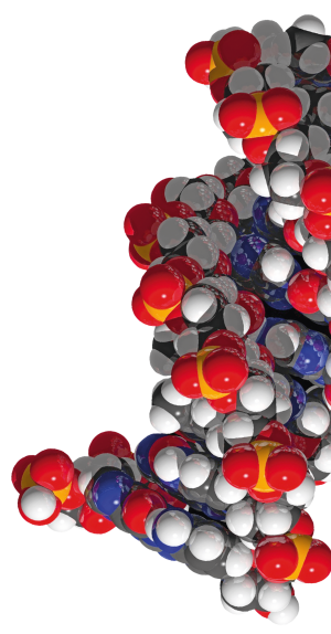 DNA-Rhenochem-transparent-rotated